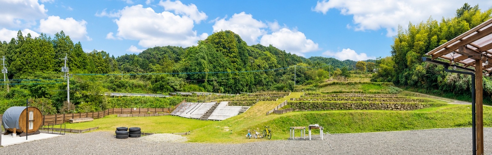 新着情報